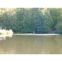 รูปถ่าย ฝรั่งเศส(France) ช็องตีญี(Chantilly) 2009-10 47
