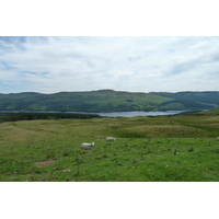 รูปถ่าย อังกฤษ(United Kingdom) ทรอสซักส์(The Trossachs) 2011-07 76