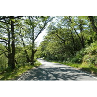 รูปถ่าย อังกฤษ(United Kingdom) สกอตแลนด์(Scotland) เซเลน(Salen) 2011-07 64