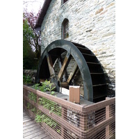 รูปถ่าย อังกฤษ(United Kingdom) ทรอสซักส์(The Trossachs) 2011-07 49