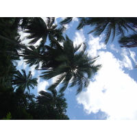 รูปถ่าย เฟรนช์โพลี่นีเซีย(Polynesia) หมู่เกาะมาร์เคซัส(Marquises) 2006-04 126