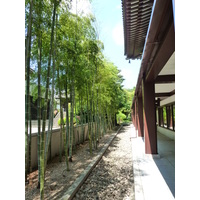 รูปถ่าย ญี่ปุ่น(Japan) โตเกียว(Tokyo) สวนชิบะ(Shiba Park) 2010-06 44