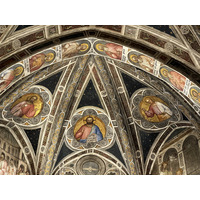 รูปถ่าย อิตาลี(Italy) ปาโดวา(Padua) 2022-05 178