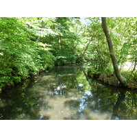 รูปถ่าย ญี่ปุ่น(Japan) โตเกียว(Tokyo) พิพิธภัณฑ์เนซุ(Nezu Museum) 2010-06 77