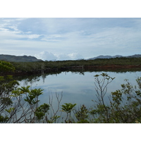 รูปถ่าย นิวแคลิโดเนีย(New Caledonia) อุทยานริเวียร์เบลอ(Parc de la Riviere Bleue) 2010-05 60