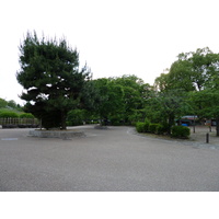 รูปถ่าย ญี่ปุ่น(Japan) เกียวโต(Kyoto) ศาลเจ้ายาซากะ(Yasaka Shrine) 2010-06 1