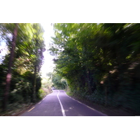 รูปถ่าย ไอร์แลนด์(Ireland) ดับลิน(Dublin) ถนนเลียบแม่น้ำ(River road) 2008-09 0