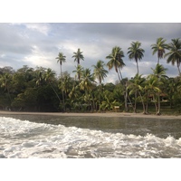 รูปถ่าย คอสตาริกา(Costa Rica) มานวยล์อันโตนีโอ(Manuel Antonio) 2015-03 97