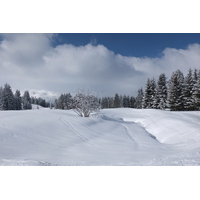 รูปถ่าย ฝรั่งเศส(France) เลทรัววาเล(Les 3 Vallees) 2013-03 391