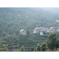 รูปถ่าย ฝรั่งเศส(France) คอร์สิคา(Corsica) วัลเล-ดาเลซานี(Valle d'alesani) 2006-09 35