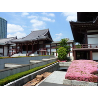รูปถ่าย ญี่ปุ่น(Japan) โตเกียว(Tokyo) สวนชิบะ(Shiba Park) 2010-06 21