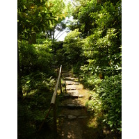 รูปถ่าย ญี่ปุ่น(Japan) โตเกียว(Tokyo) พิพิธภัณฑ์เนซุ(Nezu Museum) 2010-06 65