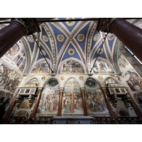 รูปถ่าย อิตาลี(Italy) ปาโดวา(Padua) 2022-05 33