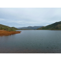 รูปถ่าย นิวแคลิโดเนีย(New Caledonia) อุทยานริเวียร์เบลอ(Parc de la Riviere Bleue) 2010-05 76