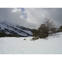 รูปถ่าย ฝรั่งเศส(France) เกรโอลีแยร์(Greolieres) 2006-02 20