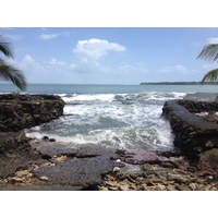 รูปถ่าย คอสตาริกา(Costa Rica) กาอุยตา(Cahuita) 2015-03 213