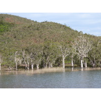 รูปถ่าย นิวแคลิโดเนีย(New Caledonia) อุทยานริเวียร์เบลอ(Parc de la Riviere Bleue) 2010-05 92