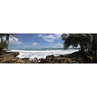 รูปถ่าย คอสตาริกา(Costa Rica) กาอุยตา(Cahuita) 2015-03 184