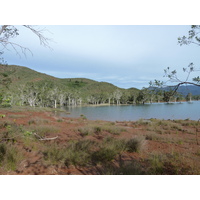 รูปถ่าย นิวแคลิโดเนีย(New Caledonia) อุทยานริเวียร์เบลอ(Parc de la Riviere Bleue) 2010-05 122
