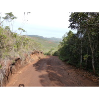 รูปถ่าย นิวแคลิโดเนีย(New Caledonia) อุทยานริเวียร์เบลอ(Parc de la Riviere Bleue) 2010-05 114