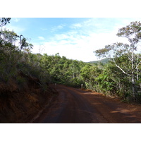 รูปถ่าย นิวแคลิโดเนีย(New Caledonia) อุทยานริเวียร์เบลอ(Parc de la Riviere Bleue) 2010-05 139