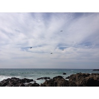 รูปถ่าย คอสตาริกา(Costa Rica) มอนเตซูมา(Montezuma) 2015-03 616