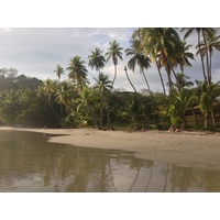 รูปถ่าย คอสตาริกา(Costa Rica) มานวยล์อันโตนีโอ(Manuel Antonio) 2015-03 251