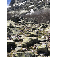 รูปถ่าย ฝรั่งเศส(France) คอร์สิคา(Corsica) ทะเลสาบเมโลและกาปีเตลโล(Lac de Melo et Capitello) 2021-06 239