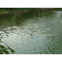 รูปถ่าย ไทย(Thailand) เขาหลัก(Khao Lak) โรงแรมเลอเมอริเดียน เขาหลัก(Meridien Khao Lak Hotel) 2005-12 295