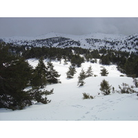 รูปถ่าย ฝรั่งเศส(France) เกรโอลีแยร์(Greolieres) 2006-02 37