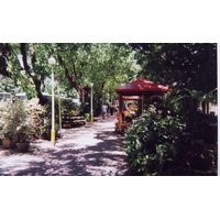 รูปถ่าย บราซิล(Brazil) ริโอ(Rio) 1999-01 4