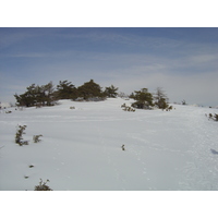 รูปถ่าย ฝรั่งเศส(France) เกรโอลีแยร์(Greolieres) 2006-02 26
