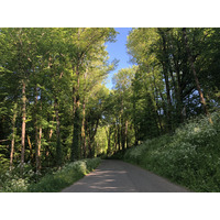 รูปถ่าย ฝรั่งเศส(France) ฟลัวรัก(Floirac) 2018-04 17