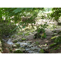 รูปถ่าย อิตาลี(Italy) วิลลาปัลลาวีชีโน(Villa Pallavicino) 2009-06 60