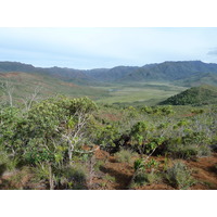 รูปถ่าย นิวแคลิโดเนีย(New Caledonia) อุทยานริเวียร์เบลอ(Parc de la Riviere Bleue) 2010-05 131