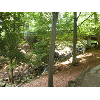 รูปถ่าย อิตาลี(Italy) วิลลาปัลลาวีชีโน(Villa Pallavicino) 2009-06 56