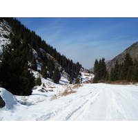 รูปถ่าย คาซัคสถาน(Kazakhstan) อุทยานแห่งชาติอีเลอาลาเตา(Ile Alatau National Park) 2007-03 63