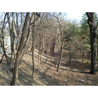 รูปถ่าย ยูเครน(Ukraine) เคียฟ(Kiev) เชฟเชนกา(Shevchenka) 2007-03 15