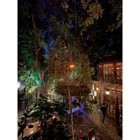 รูปถ่าย ไทย(Thailand) เชียงใหม่(Chiang Mai) 2024-12 113