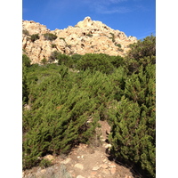 รูปถ่าย อิตาลี(Italy) อ่าวกาลาโกตีชโช(Cala Coticcio) 2012-09 57
