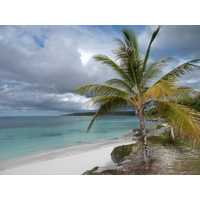 รูปถ่าย นิวแคลิโดเนีย(New Caledonia) 2010-05 119