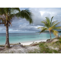 รูปถ่าย นิวแคลิโดเนีย(New Caledonia) เกาะลีฟู(Lifou) เว(We) 2010-05 3