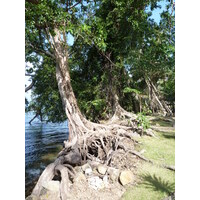 รูปถ่าย ไทย(Thailand) เกาะช้าง(Ko Chang) 2011-12 179