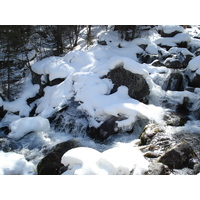 รูปถ่าย คาซัคสถาน(Kazakhstan) อุทยานแห่งชาติอีเลอาลาเตา(Ile Alatau National Park) 2007-03 50