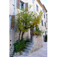 รูปถ่าย ฝรั่งเศส(France) แซ็ง-ฌาเน(Saint Jeannet) 2007-11 40