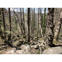 รูปถ่าย ฝรั่งเศส(France) แอบบีแซ็งมาร์แต็งดูกานีกู(Abbaye Saint Martin du Canigou) 2018-04 84