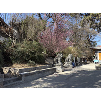 รูปถ่าย จีน(China) ลี่เจียง(Lijiang) 2026-01 124