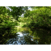 รูปถ่าย ญี่ปุ่น(Japan) โตเกียว(Tokyo) พิพิธภัณฑ์เนซุ(Nezu Museum) 2010-06 116