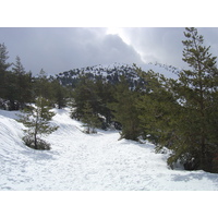รูปถ่าย ฝรั่งเศส(France) เกรโอลีแยร์(Greolieres) 2006-02 55