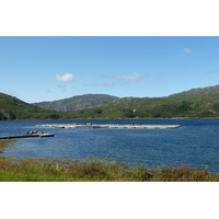 รูปถ่าย อังกฤษ(United Kingdom) สกอตแลนด์(Scotland) เซเลน(Salen) 2011-07 86